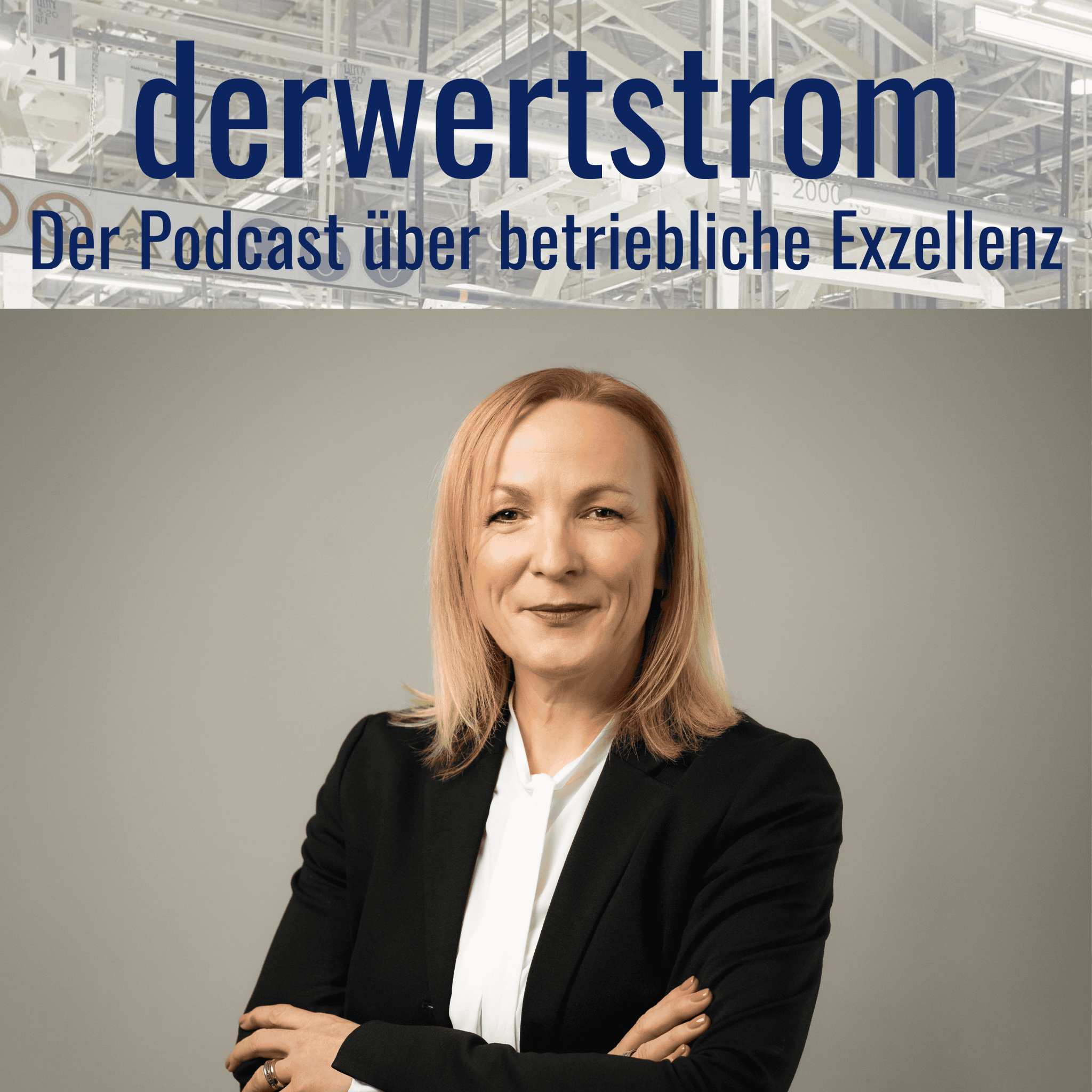 Du betrachtest gerade #018 Schnittstellen sind da, wo Blut fließt: Traudel Orth über Lean Administration